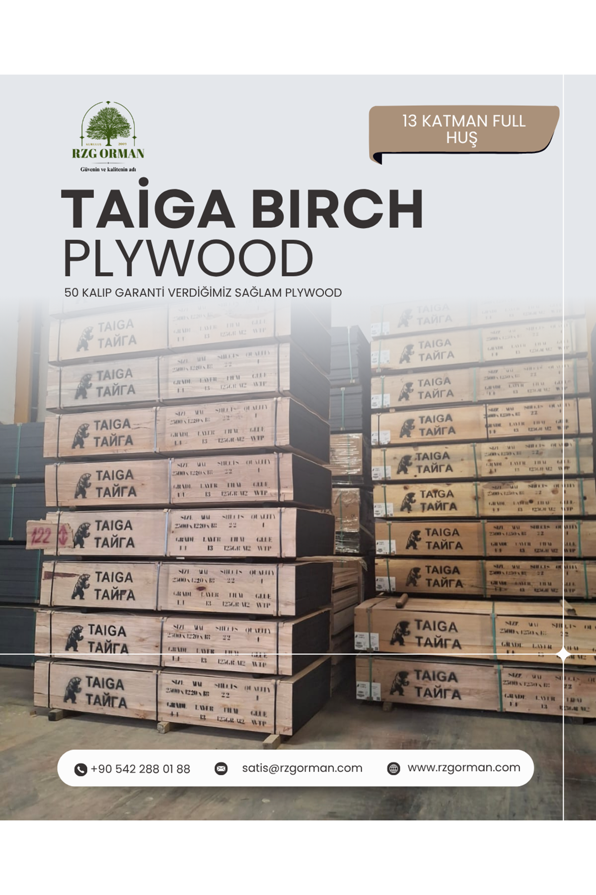 13 Katman Huş Taiga Plywood