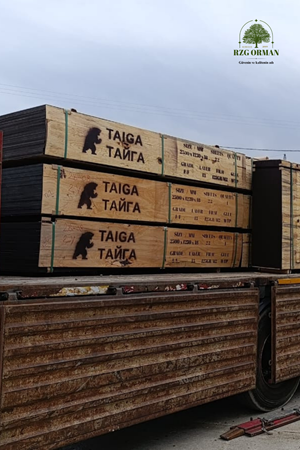 13 Katman Huş Taiga Plywood