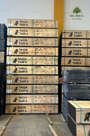 13 Katman Huş Taiga Plywood