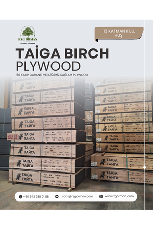13 Katman Huş Taiga Plywood